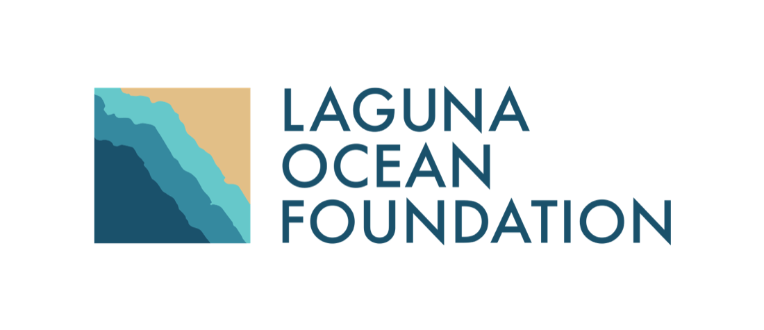 Laguna Outreach Foundation