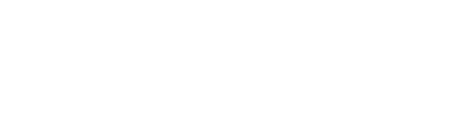 Loco Disco